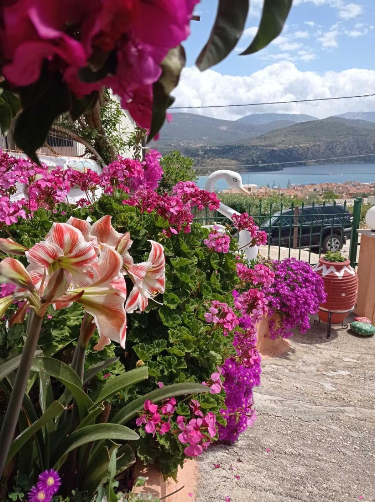 Apartamento Elenh House Argostoli  Exterior foto